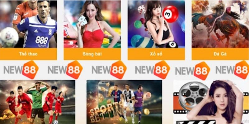 Sức hấp dẫn của nhà cái New88